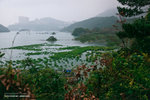 _MG_123658_2