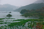 _MG_123659_2