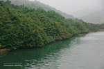 _MG_123678_2