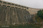 _MG_123680_2