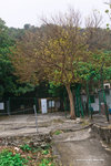 _MG_123696_2
