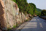 _MG_110971_2