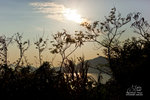 _MG_110972_2