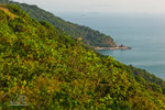 _MG_110976_2