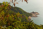 _MG_110992_2