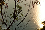 _MG_110993_2
