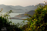 _MG_110994_2