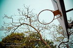 _MG_128833_2