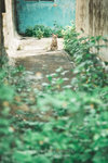 _MG_128835_2