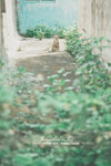_MG_128835c_2