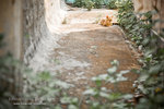 _MG_128836_2