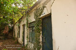 _MG_128859_2