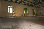 _MG_128863_2