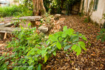 _MG_128865_2