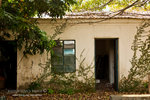 _MG_128875_2