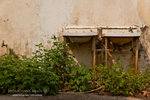 _MG_128879_2
