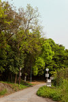 _MG_128885_2