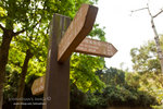 _MG_128899_2