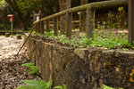 _MG_128900_2