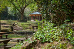 _MG_128901_2