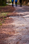 _MG_128905_2