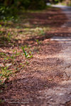 _MG_128906_2