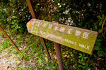 _MG_128998_2