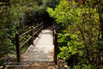 _MG_129009_2