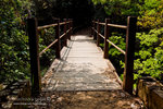 _MG_129010_2