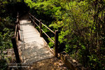 _MG_129012_2