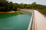 _MG_129129_2