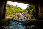_MG_129152_2