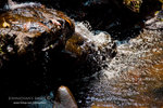 _MG_129156_2