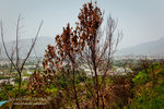 _MG_129163_2