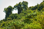 _MG_129177_2