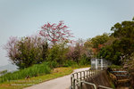 _MG_129180_2