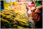 _MG_79859_2