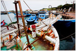 _MG_79865_2
