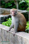 CRW_55404_2