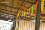 _MG_108993_2