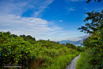 _MG_109005_2