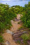 _MG_109017_2