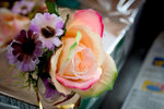CRW_47653