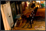 CRW_48443_2