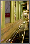 CRW_48479_2