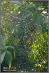 CRW_8230_2