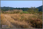CRW_8232_2