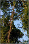 CRW_8234_2