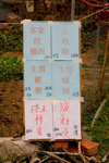 CRW_40762