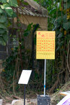 CRW_40778 荔枝窩村有記